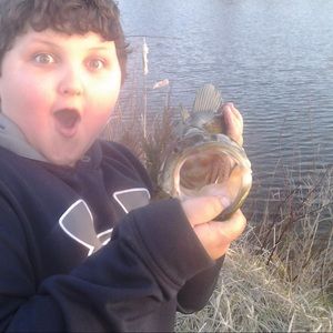 Meet your Posher, Kegan